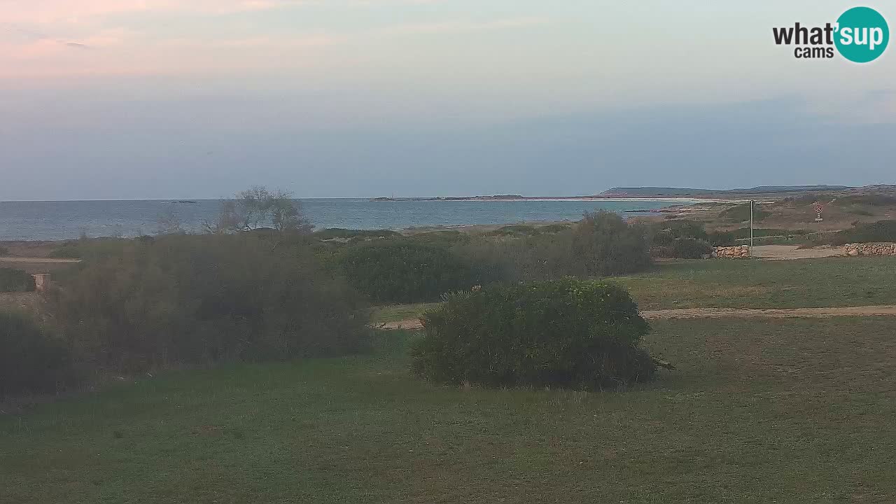 Mari Ermi Strand | Is Arutas – Oristano