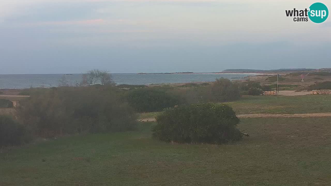 Plaža Mari Ermi | Is Arutas – Oristano