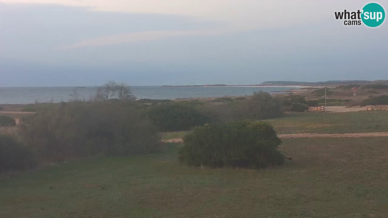 Playa Mari Ermi | Is Arutas – Oristano