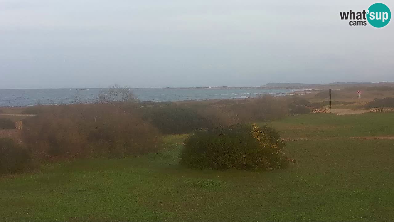 Spiaggia Mari Ermi | Is Arutas – Oristano