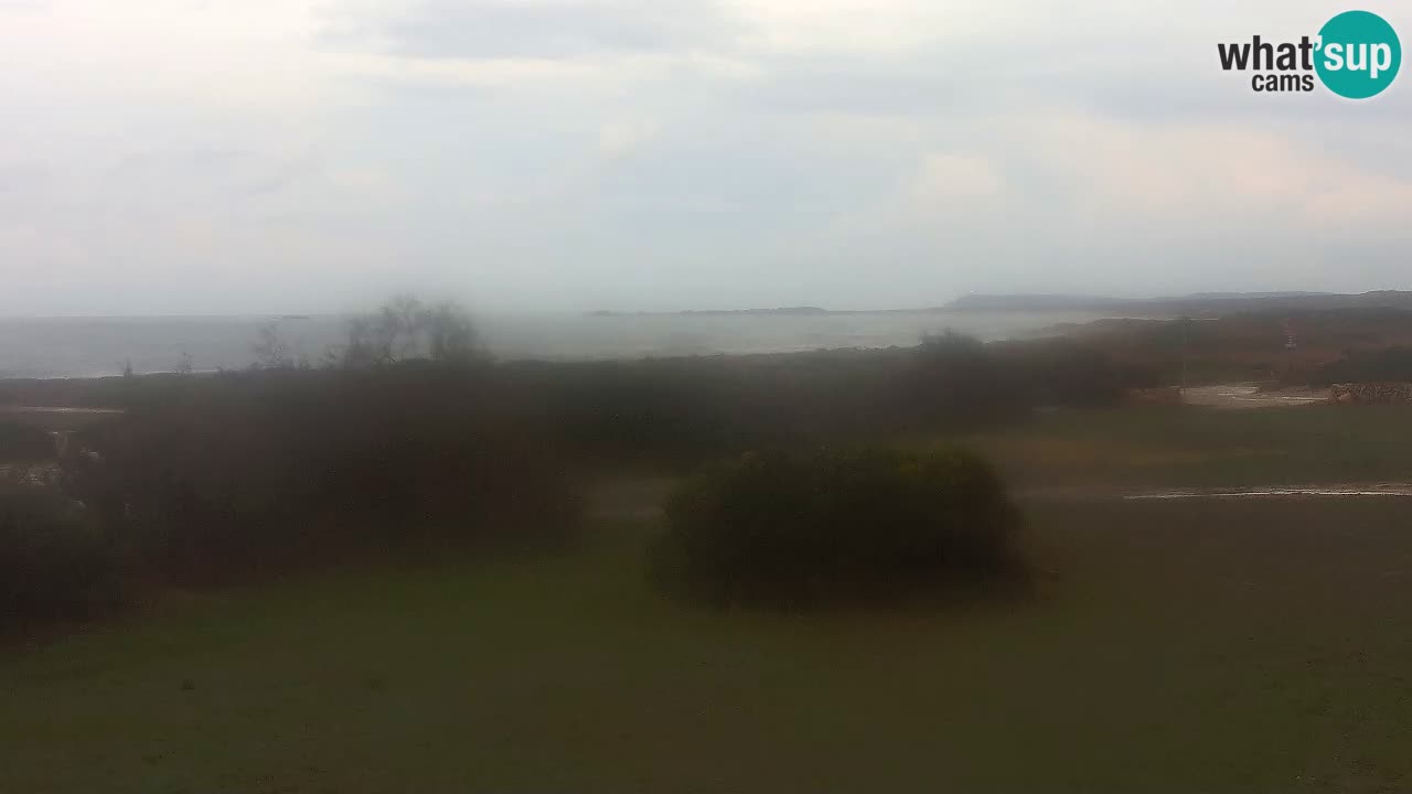 Playa Mari Ermi | Is Arutas – Oristano