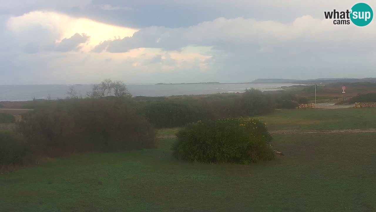 Playa Mari Ermi | Is Arutas – Oristano