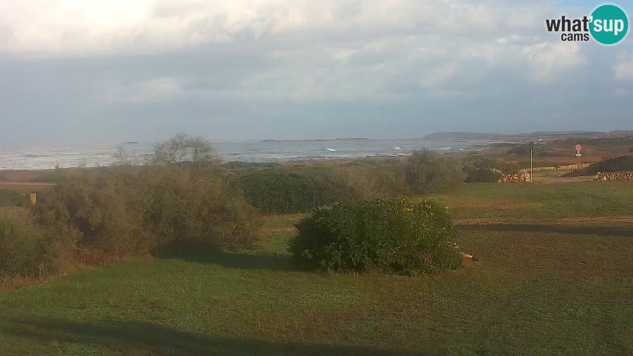 Plage Mari Ermi | Is Arutas – Oristano