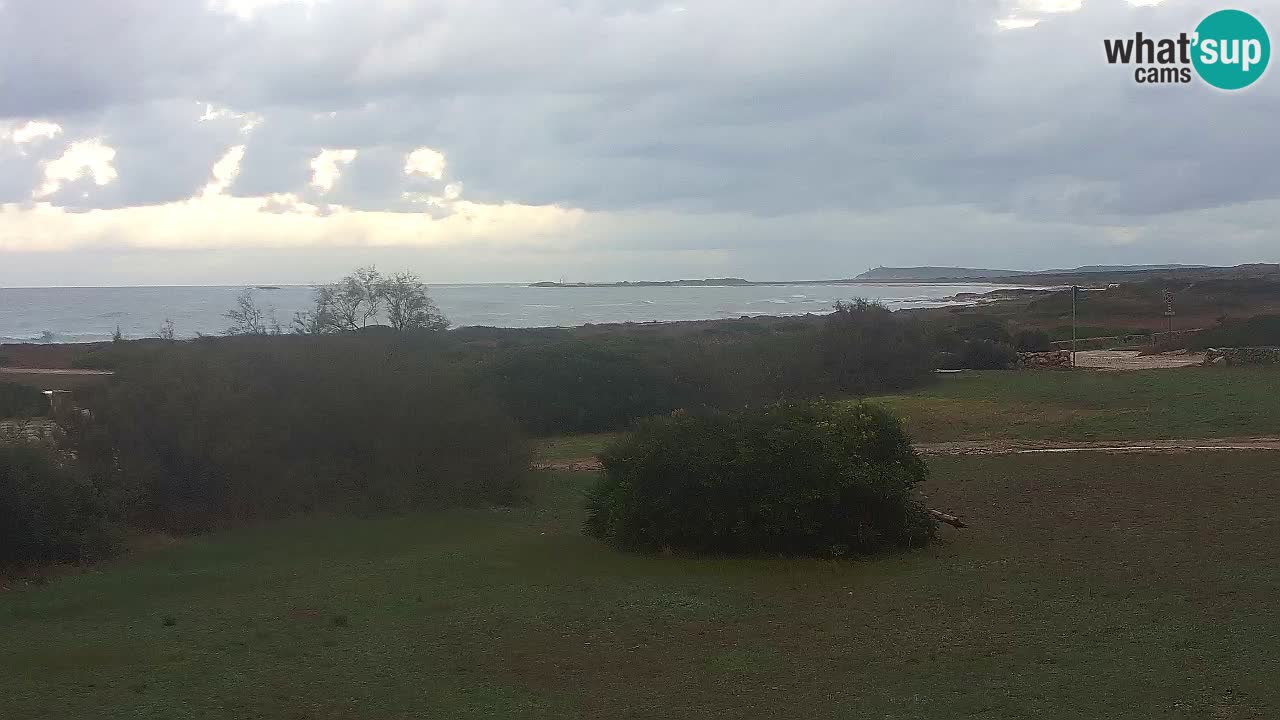 Playa Mari Ermi | Is Arutas – Oristano