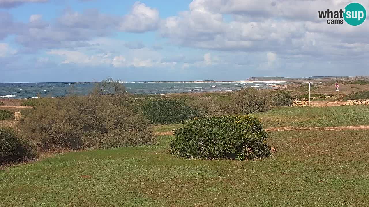 Plaža Mari Ermi | Is Arutas – Oristano