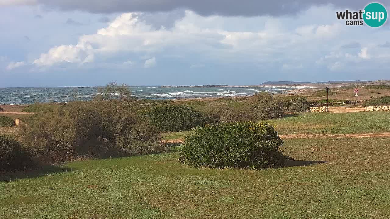 Plage Mari Ermi | Is Arutas – Oristano