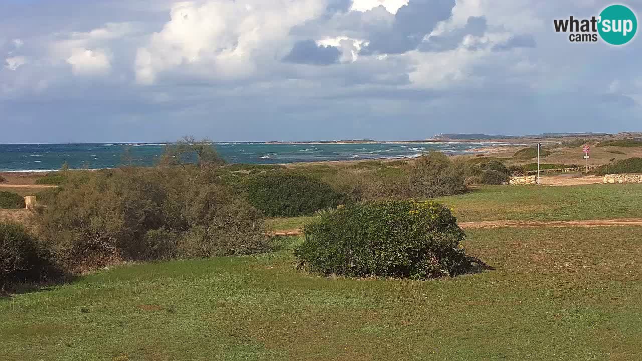 Playa Mari Ermi | Is Arutas – Oristano