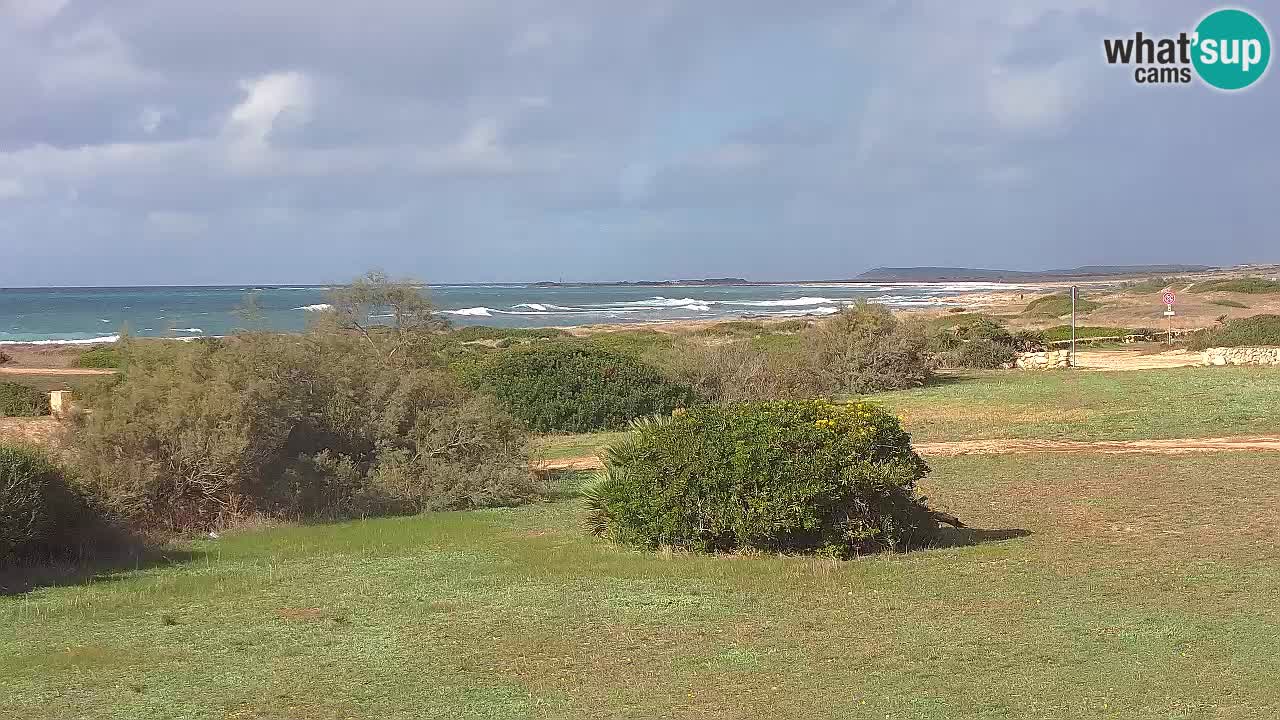 Mari Ermi Strand | Is Arutas – Oristano