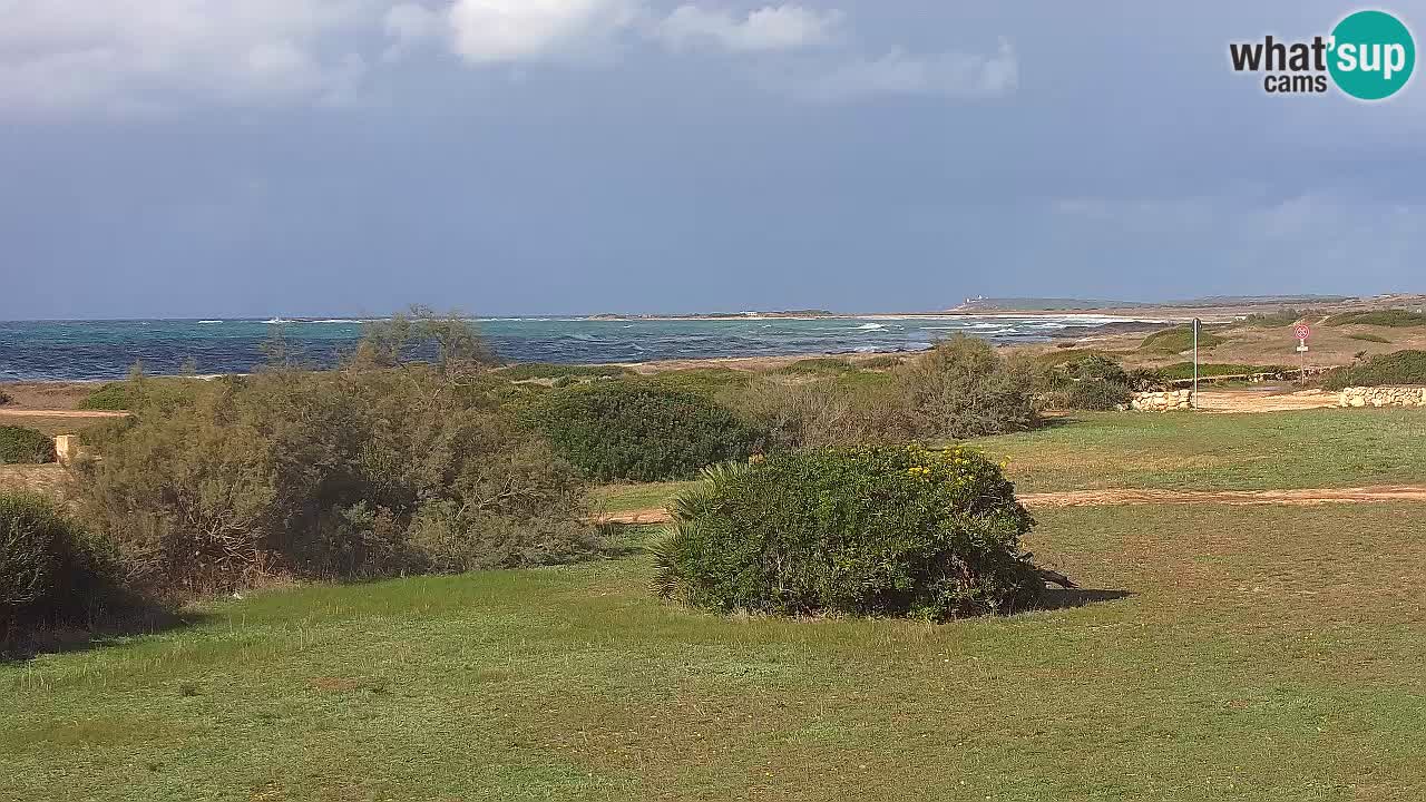 Spiaggia Mari Ermi | Is Arutas – Oristano