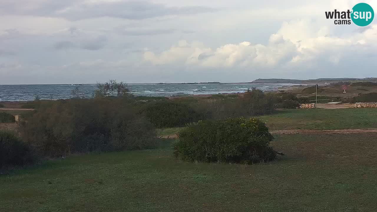 Plaža Mari Ermi | Is Arutas – Oristano