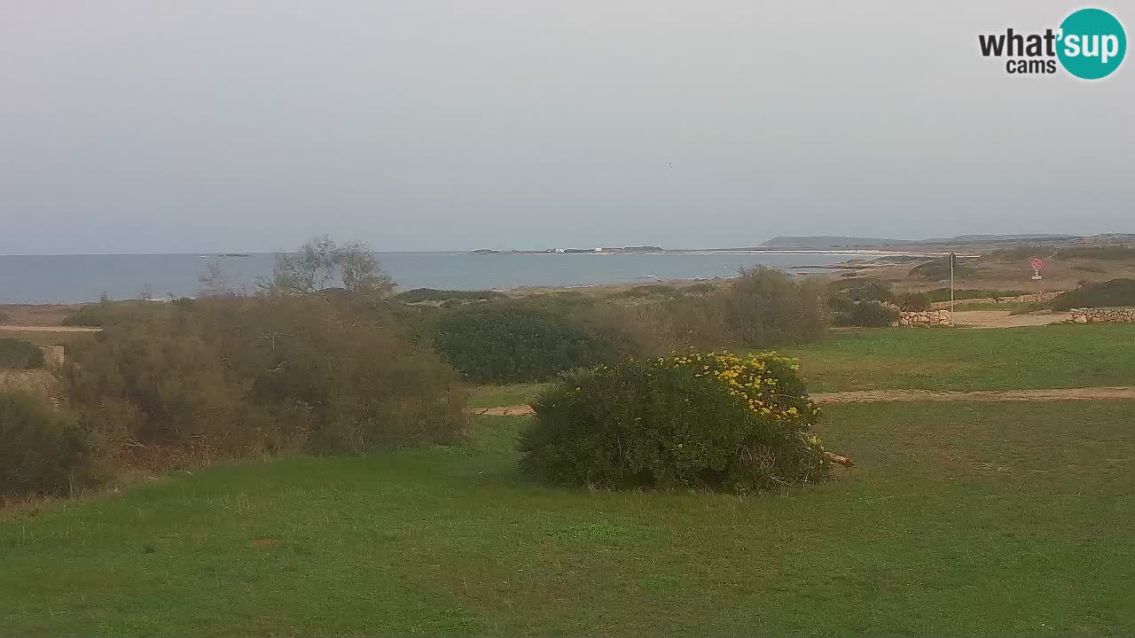 Mari Ermi Strand | Is Arutas – Oristano