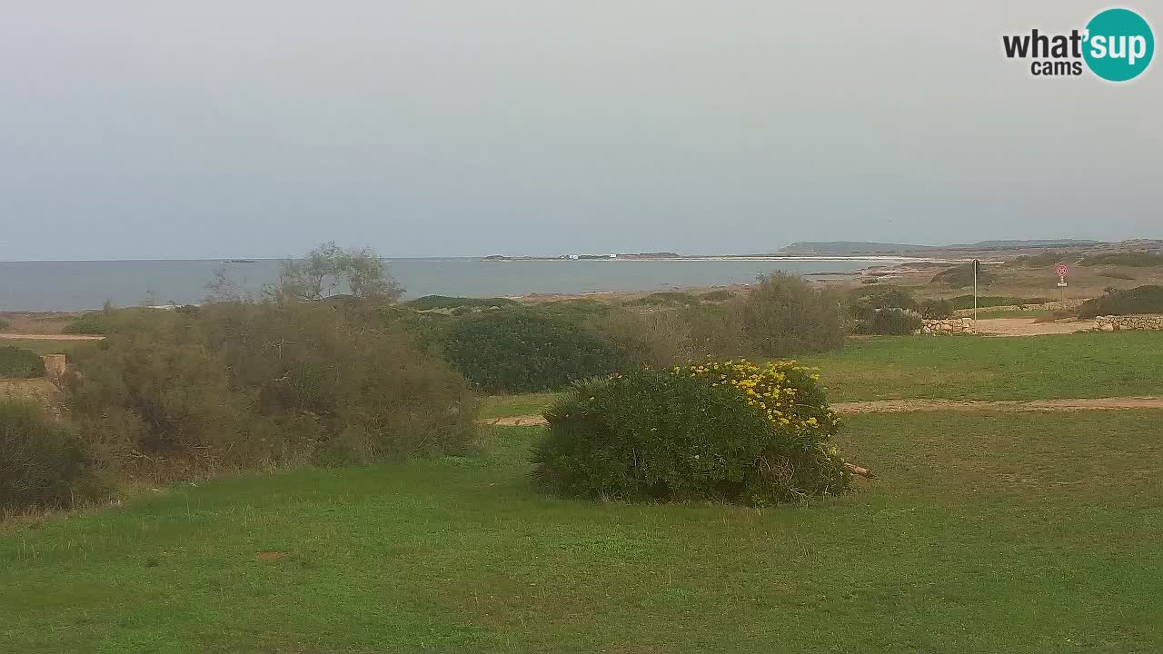 Mari Ermi beach | Is Arutas – Oristano