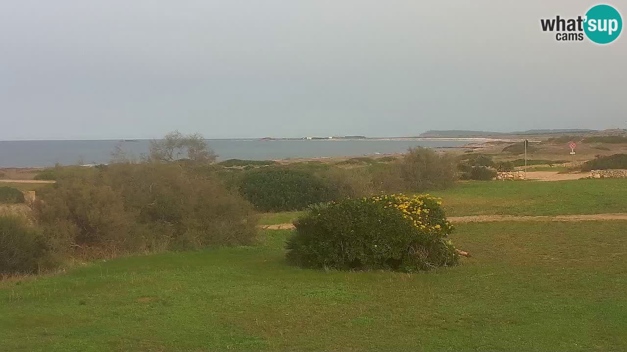 Plage Mari Ermi | Is Arutas – Oristano