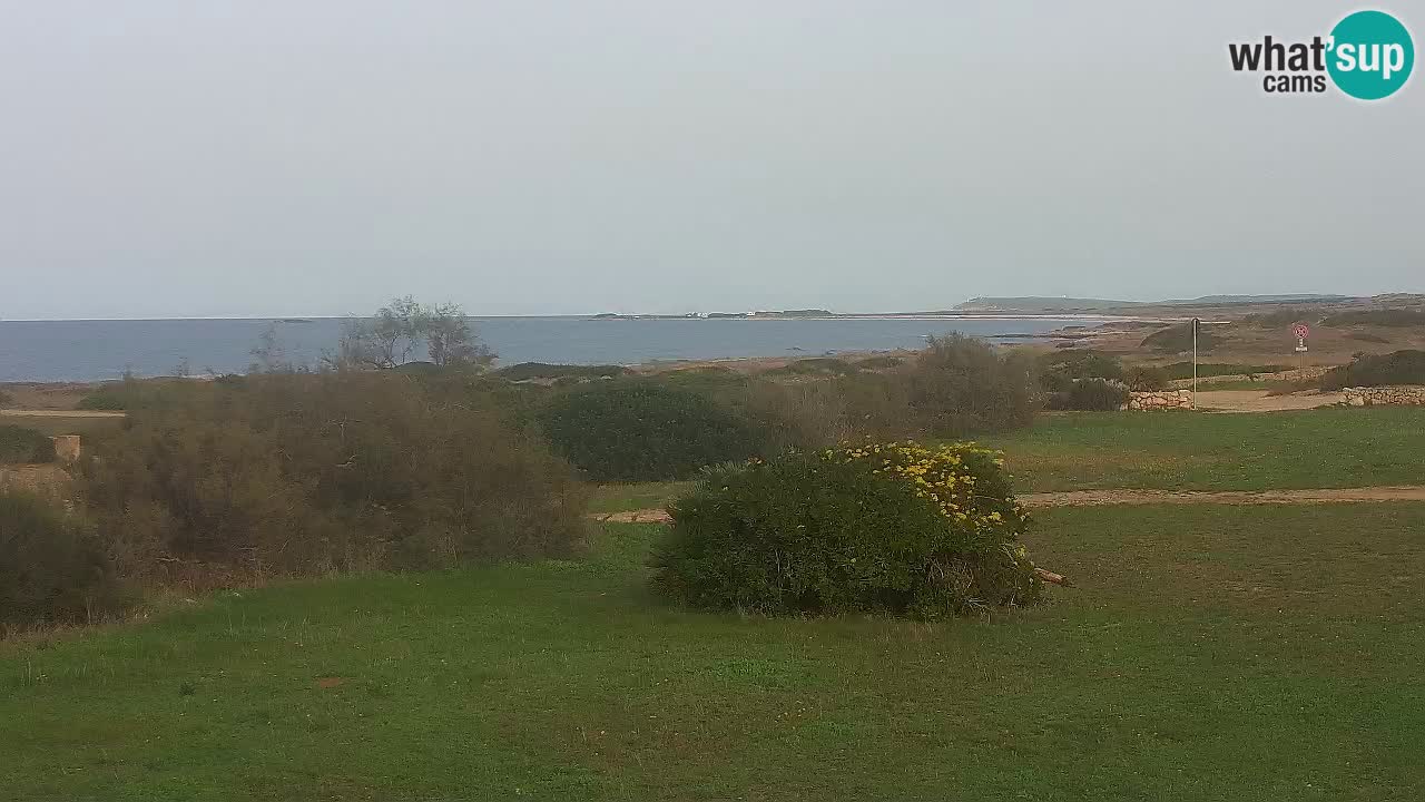 Mari Ermi beach | Is Arutas – Oristano