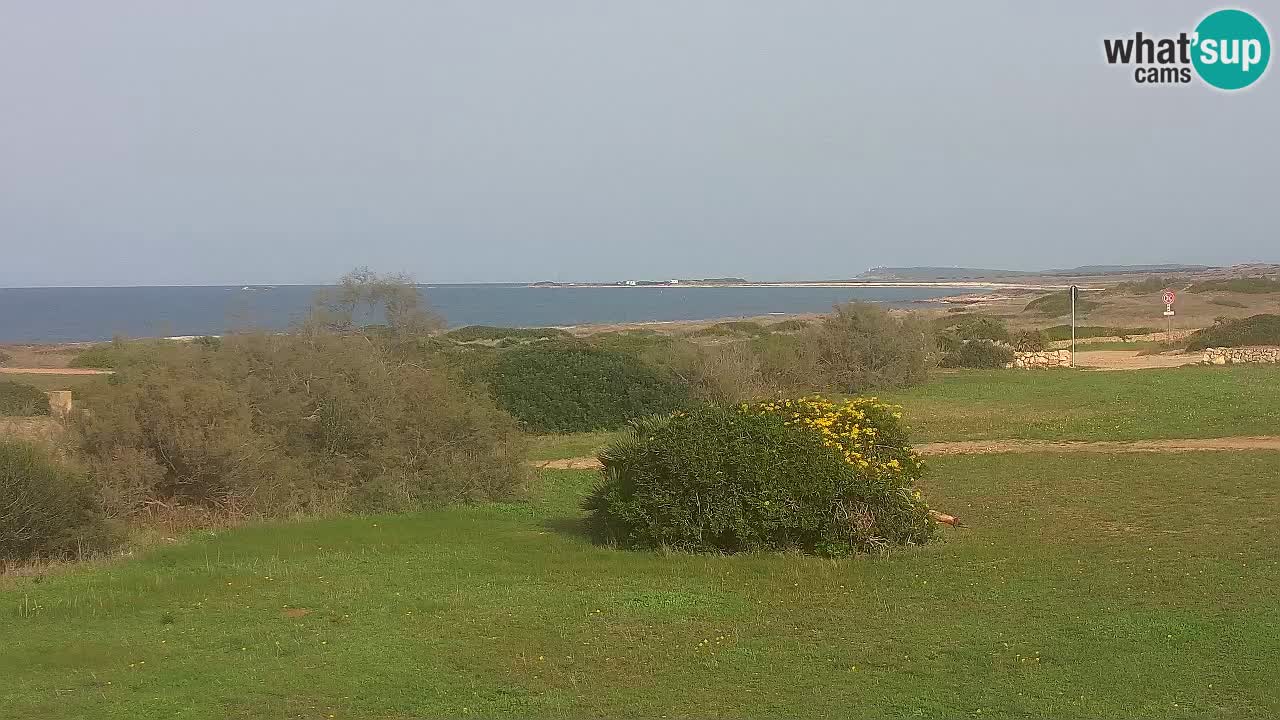 Plaža Mari Ermi | Is Arutas – Oristano