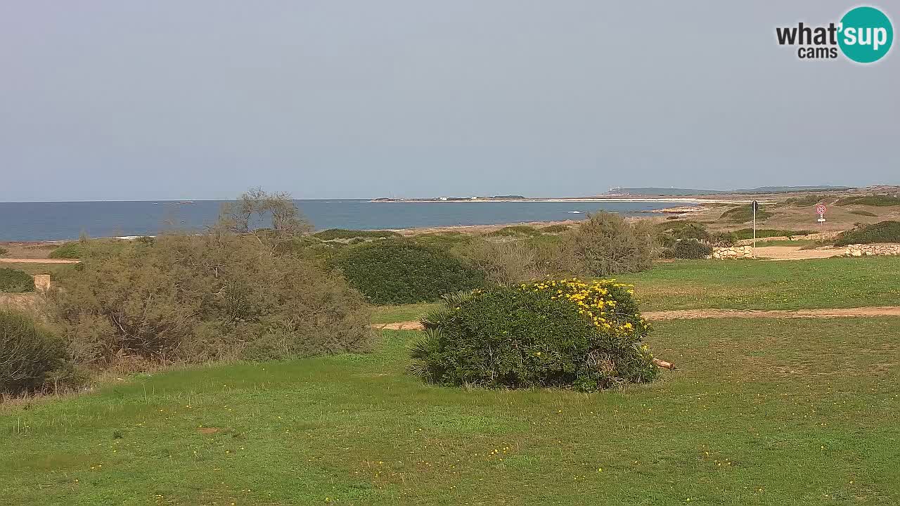 Plage Mari Ermi | Is Arutas – Oristano