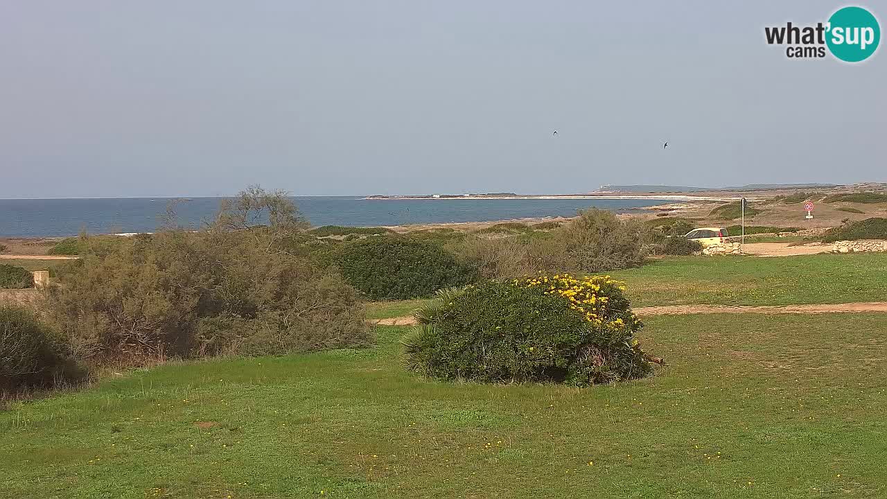 Plage Mari Ermi | Is Arutas – Oristano