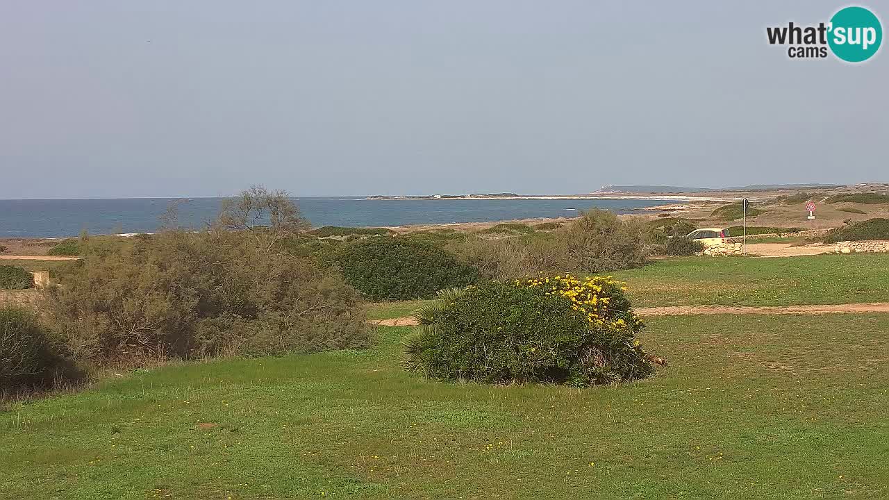 Plaža Mari Ermi | Is Arutas – Oristano