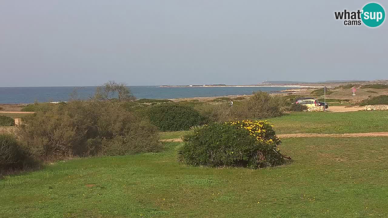 Plaža Mari Ermi | Is Arutas – Oristano