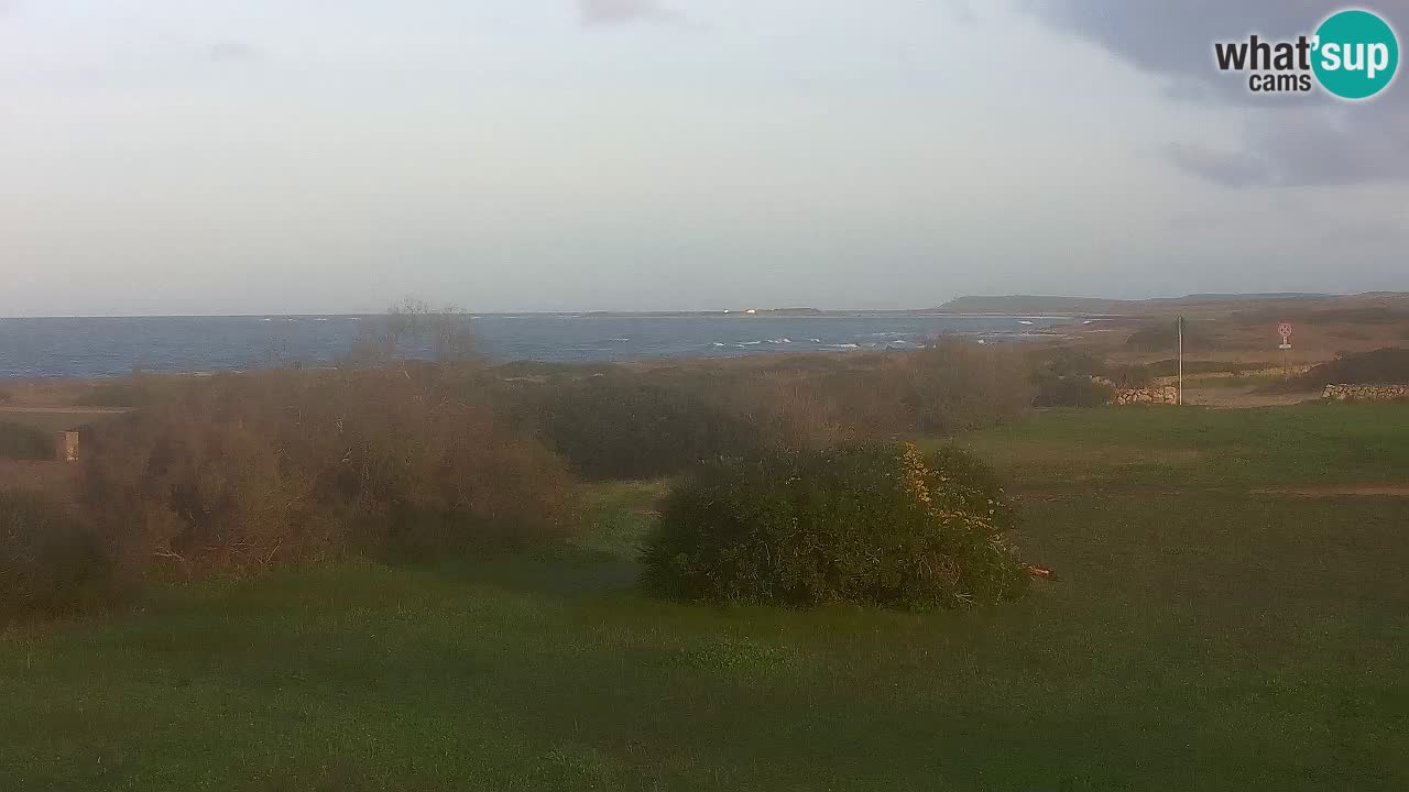 Mari Ermi Strand | Is Arutas – Oristano