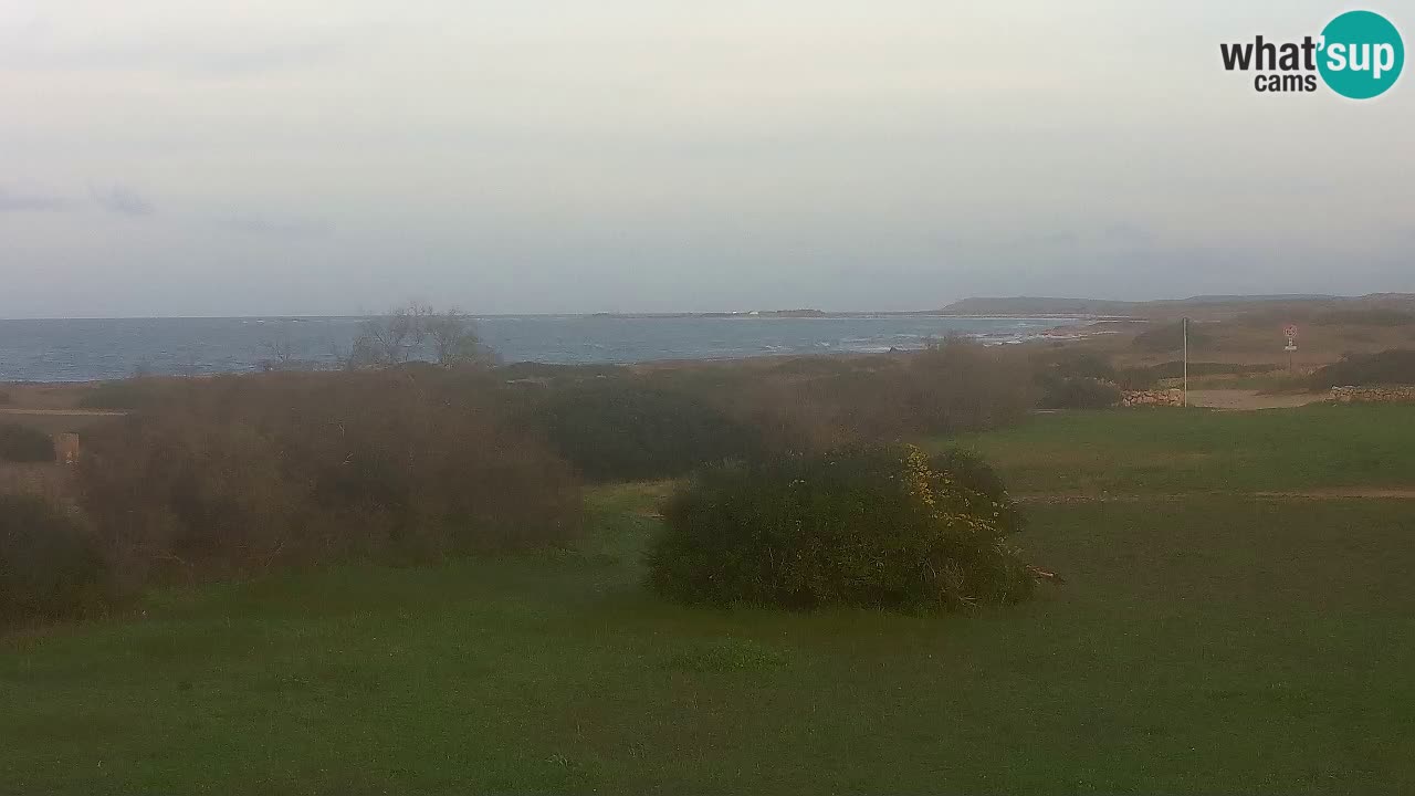 Plaža Mari Ermi | Is Arutas – Oristano