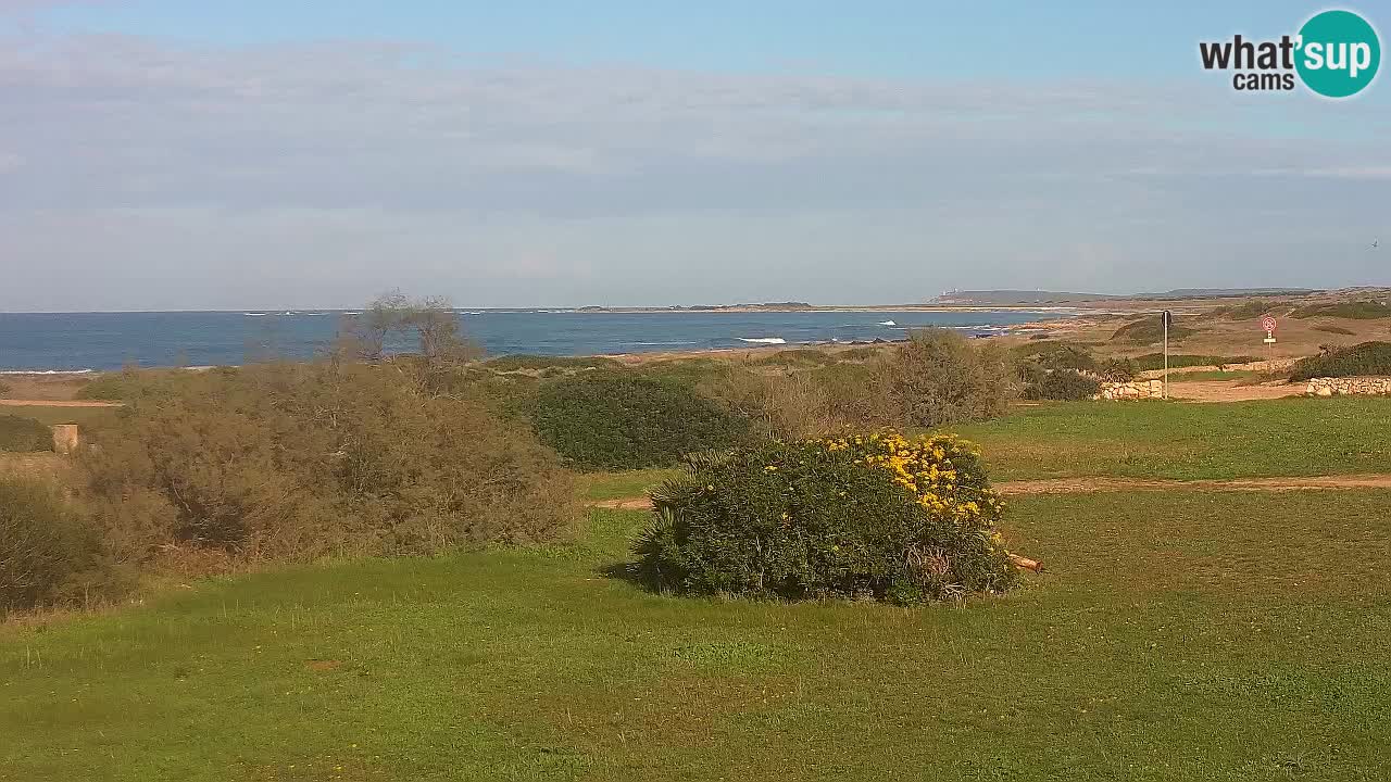 Playa Mari Ermi | Is Arutas – Oristano