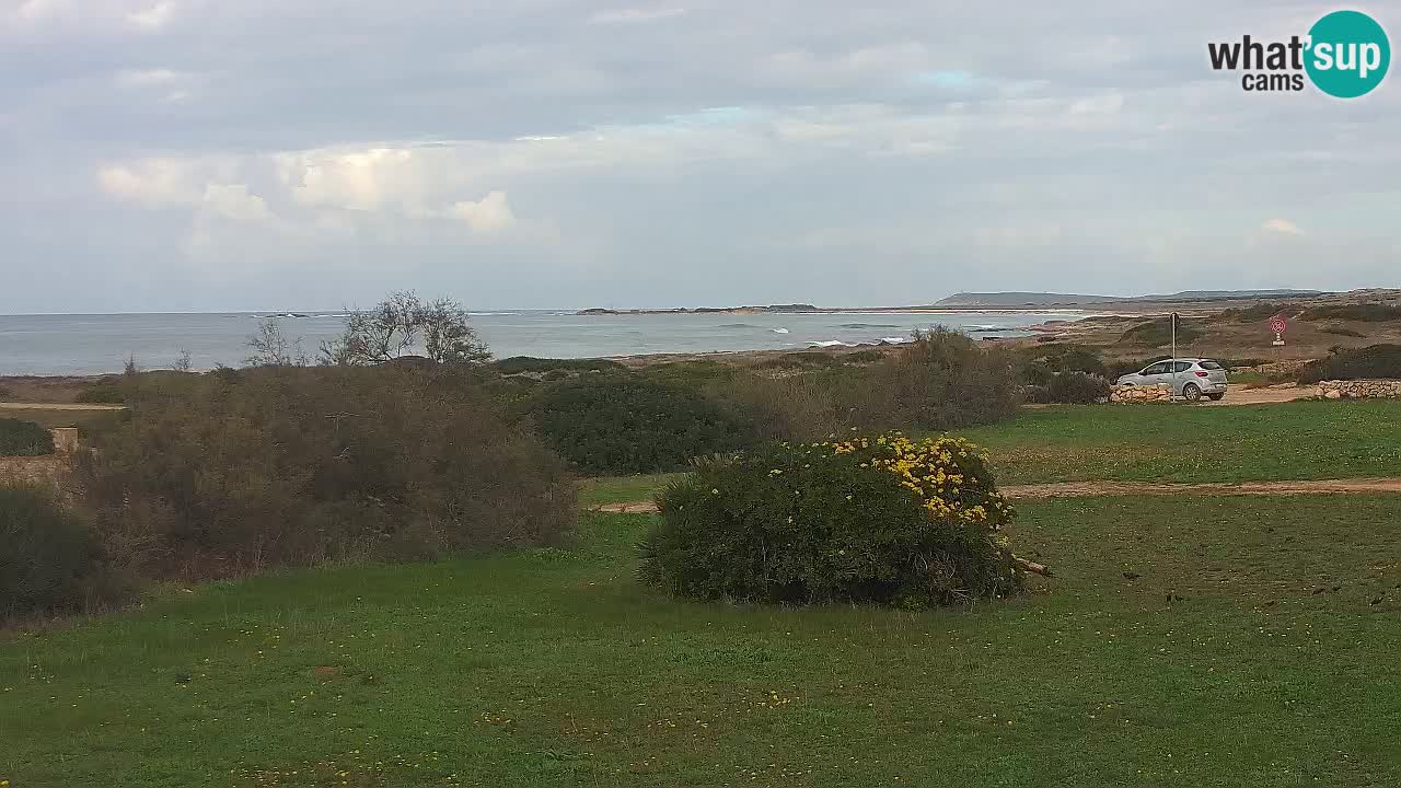 Mari Ermi Strand | Is Arutas – Oristano