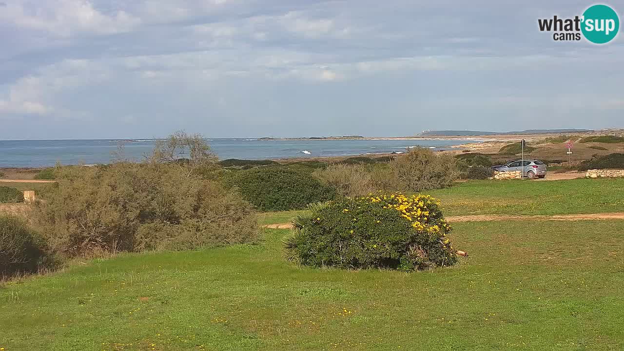 Playa Mari Ermi | Is Arutas – Oristano