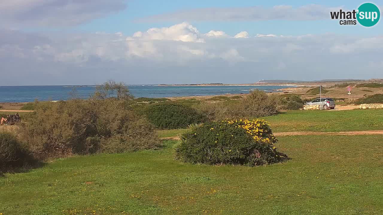 Plaža Mari Ermi | Is Arutas – Oristano