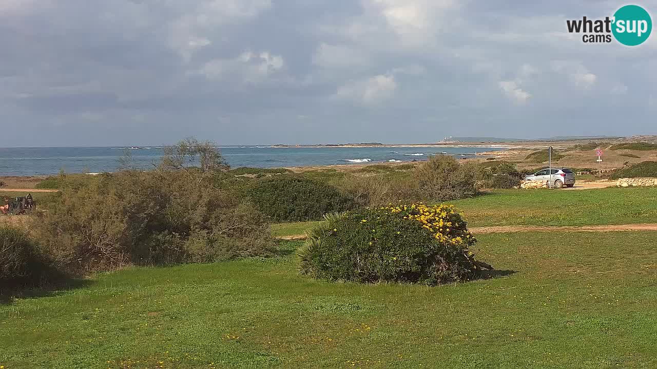 Spiaggia Mari Ermi | Is Arutas – Oristano