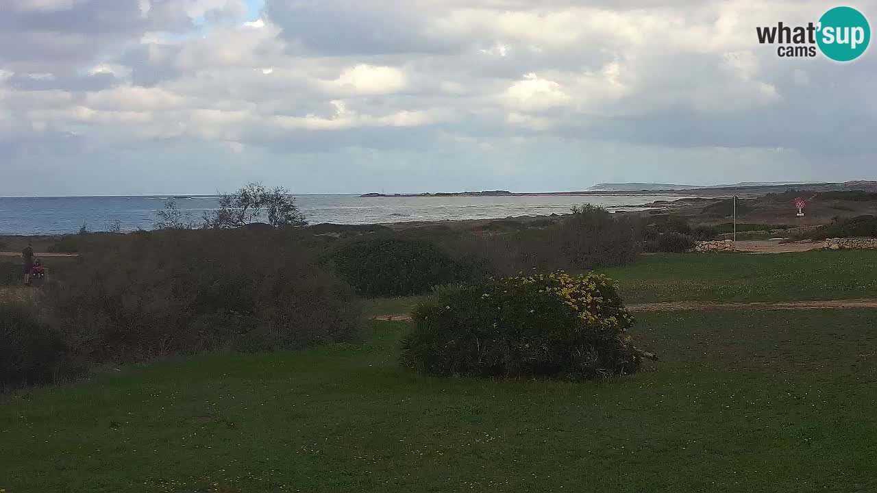 Mari Ermi Strand | Is Arutas – Oristano