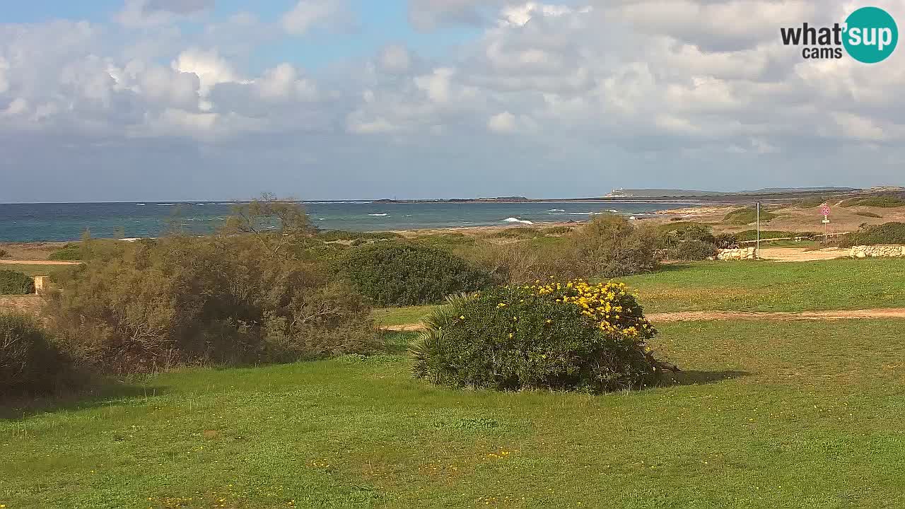 Spiaggia Mari Ermi | Is Arutas – Oristano