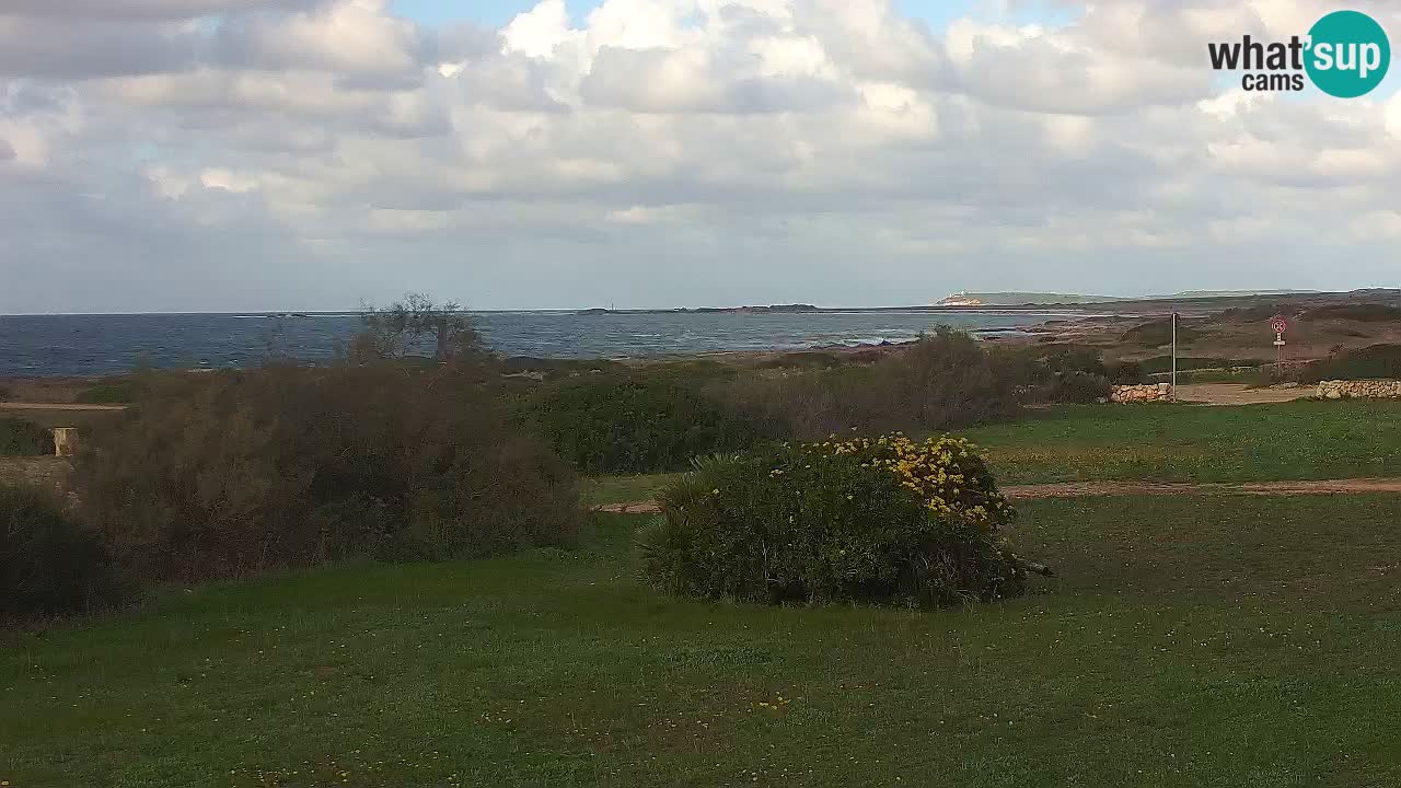 Spiaggia Mari Ermi | Is Arutas – Oristano
