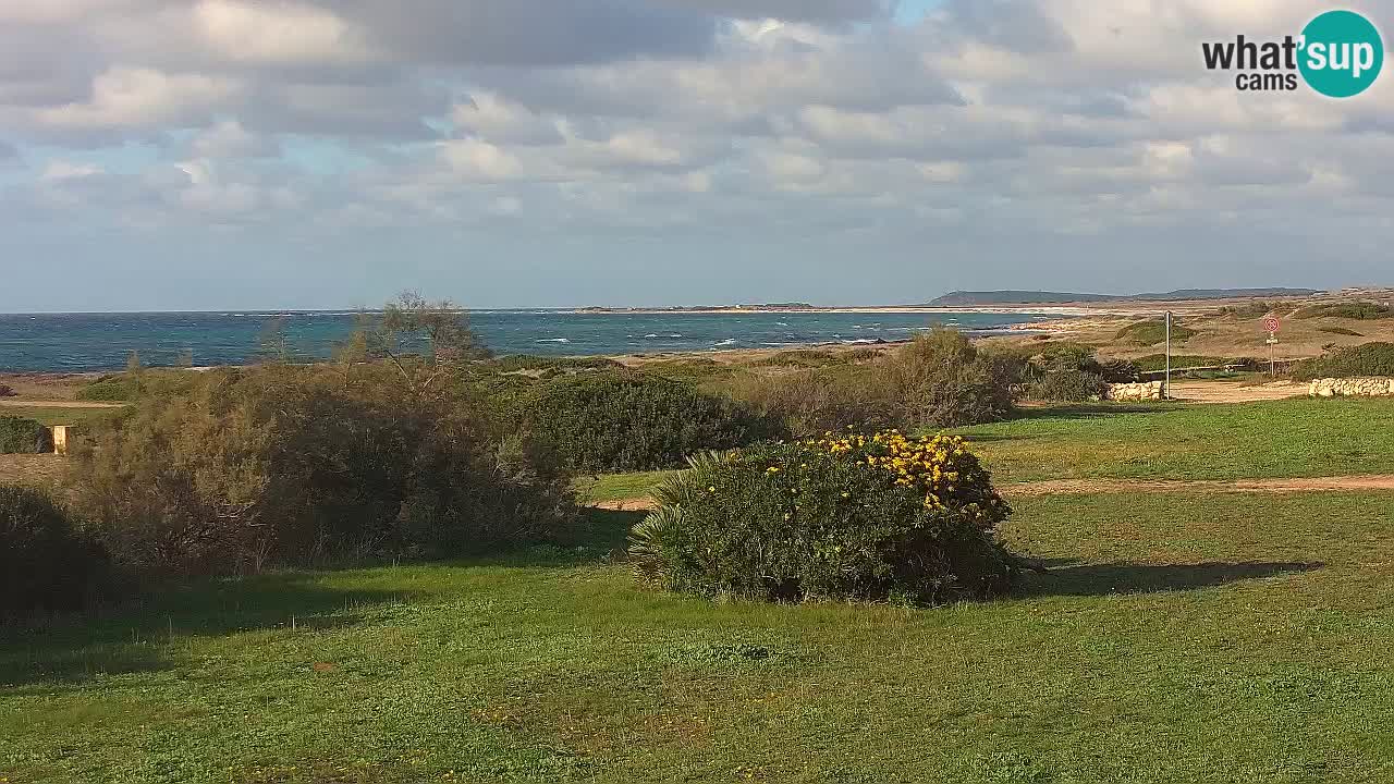 Plaža Mari Ermi | Is Arutas – Oristano