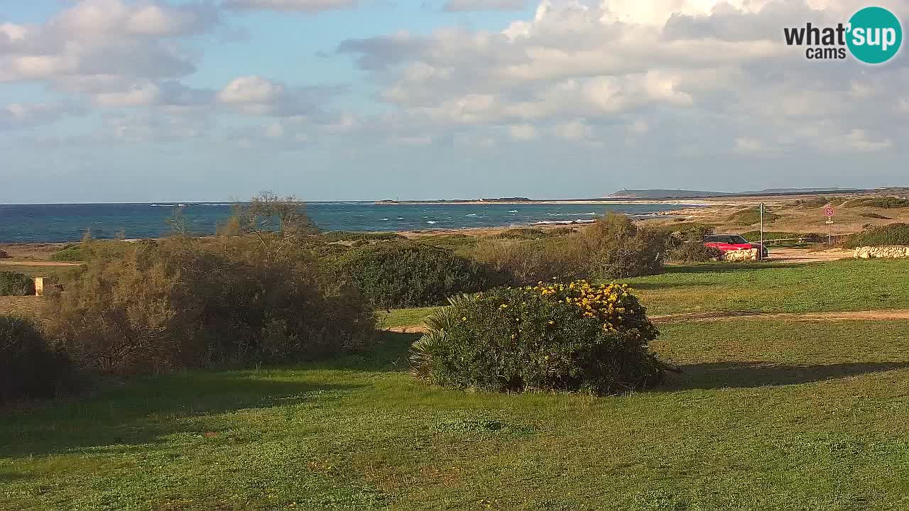 Plaža Mari Ermi | Is Arutas – Oristano