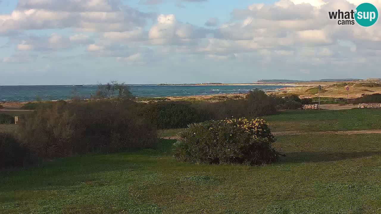 Plaža Mari Ermi | Is Arutas – Oristano