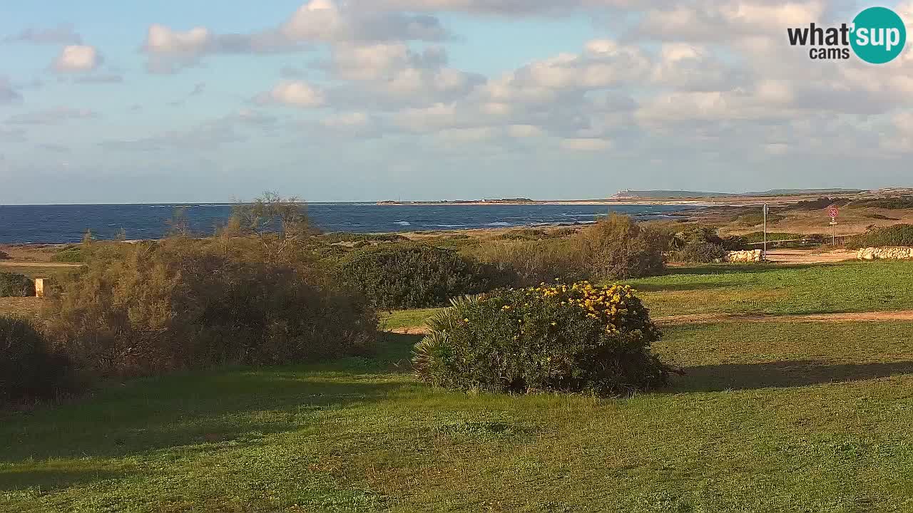 Mari Ermi Strand | Is Arutas – Oristano
