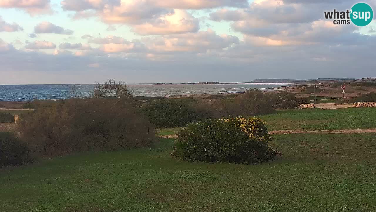 Spiaggia Mari Ermi | Is Arutas – Oristano