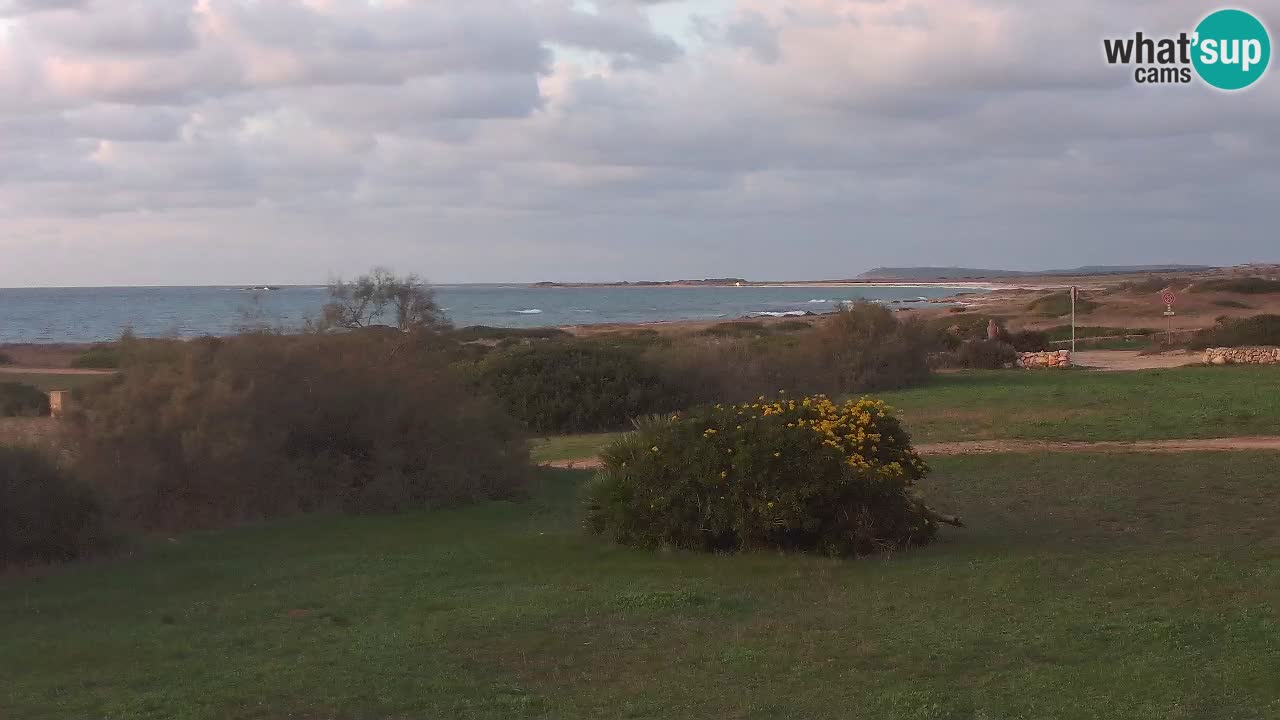 Mari Ermi Strand | Is Arutas – Oristano