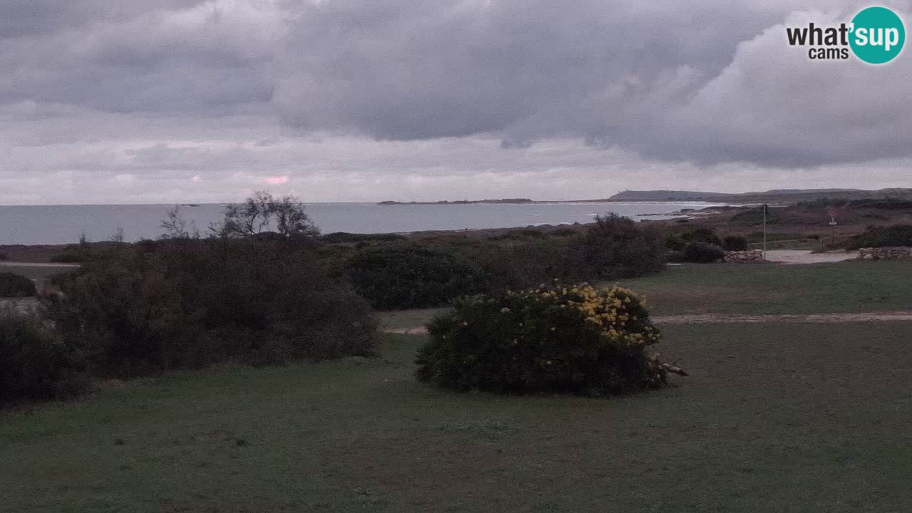 Mari Ermi beach | Is Arutas – Oristano