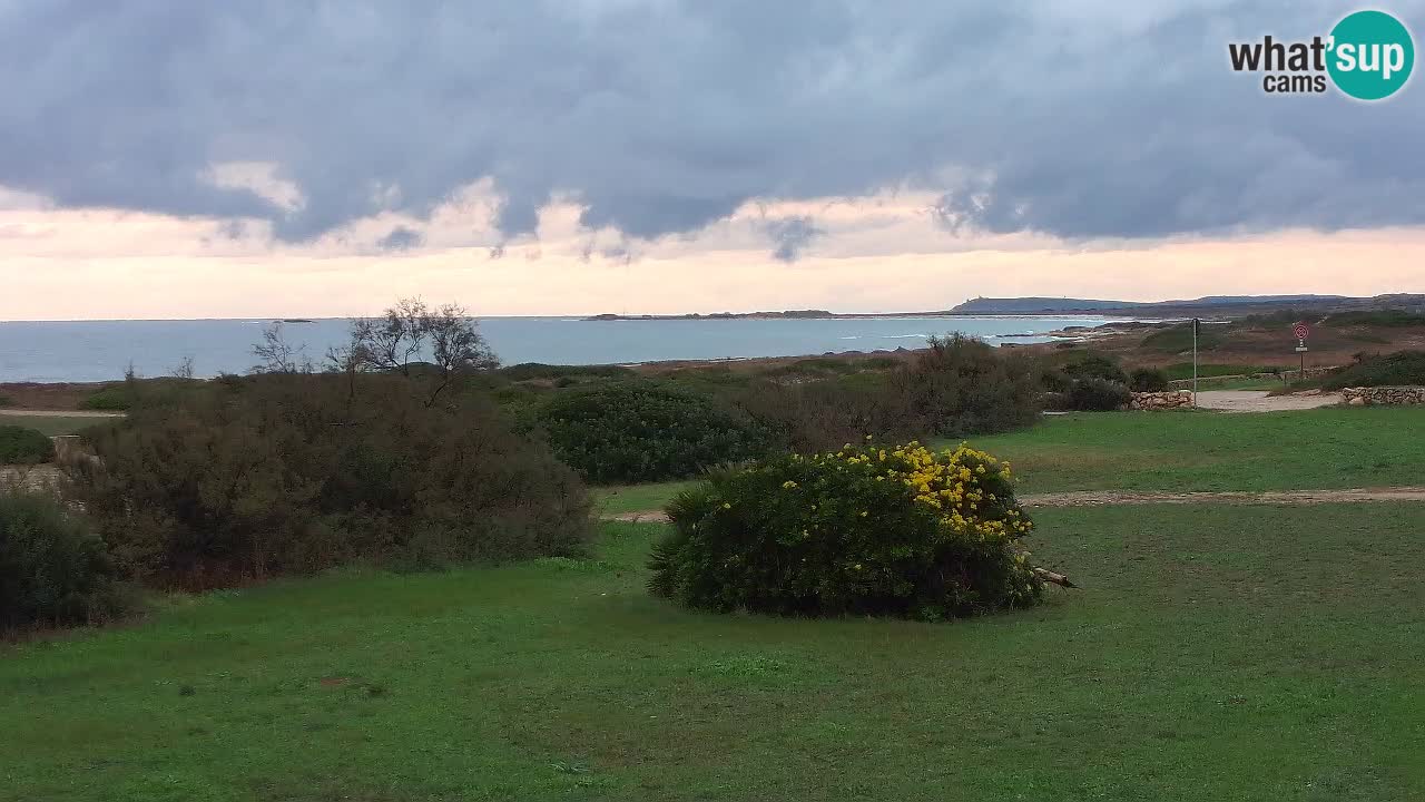 Plage Mari Ermi | Is Arutas – Oristano