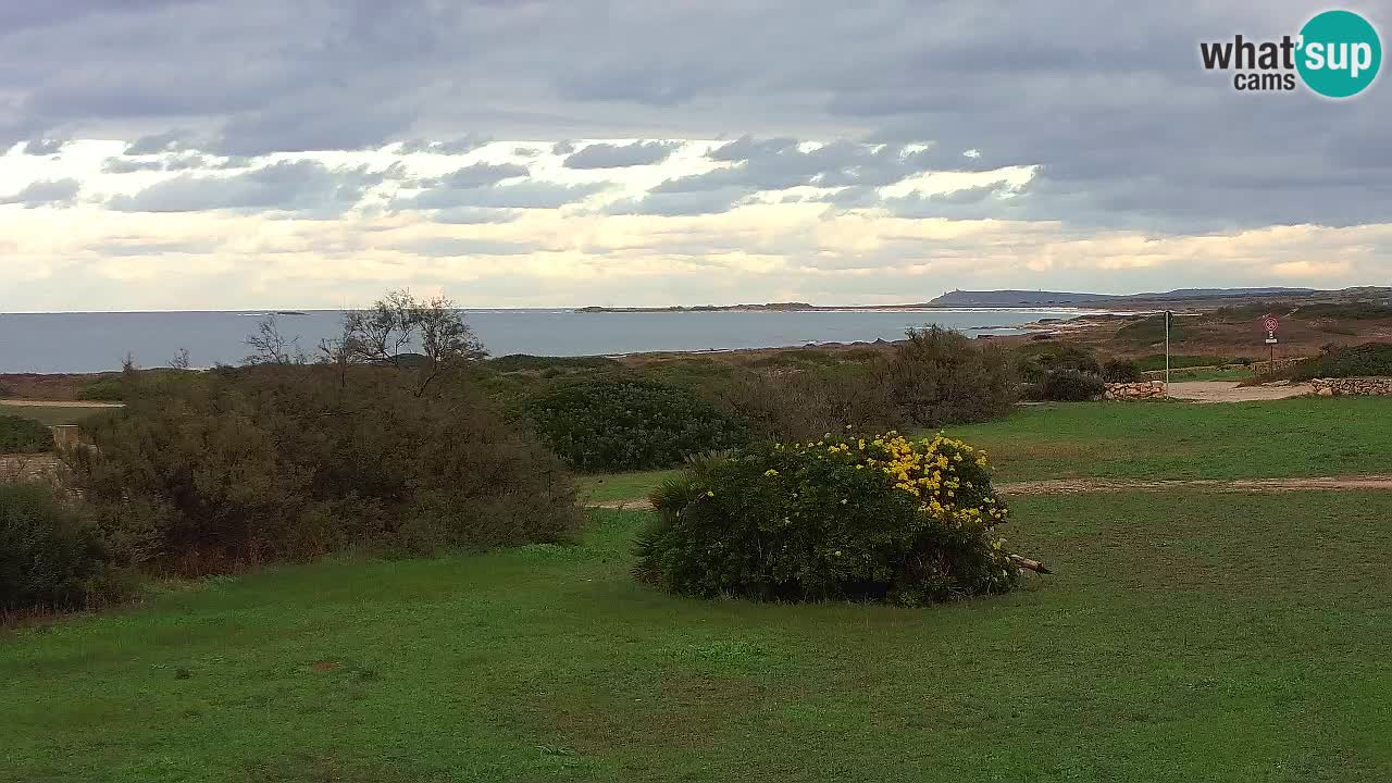 Plage Mari Ermi | Is Arutas – Oristano