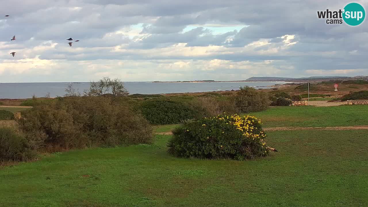 Spiaggia Mari Ermi | Is Arutas – Oristano