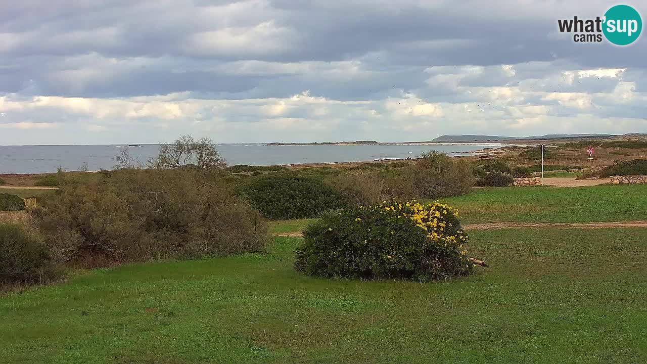 Plage Mari Ermi | Is Arutas – Oristano