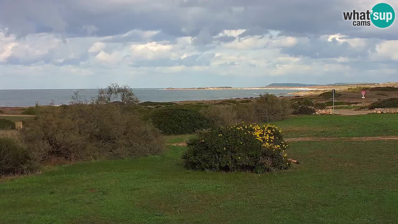 Mari Ermi Strand | Is Arutas – Oristano