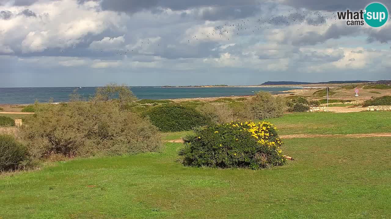 Plaža Mari Ermi | Is Arutas – Oristano
