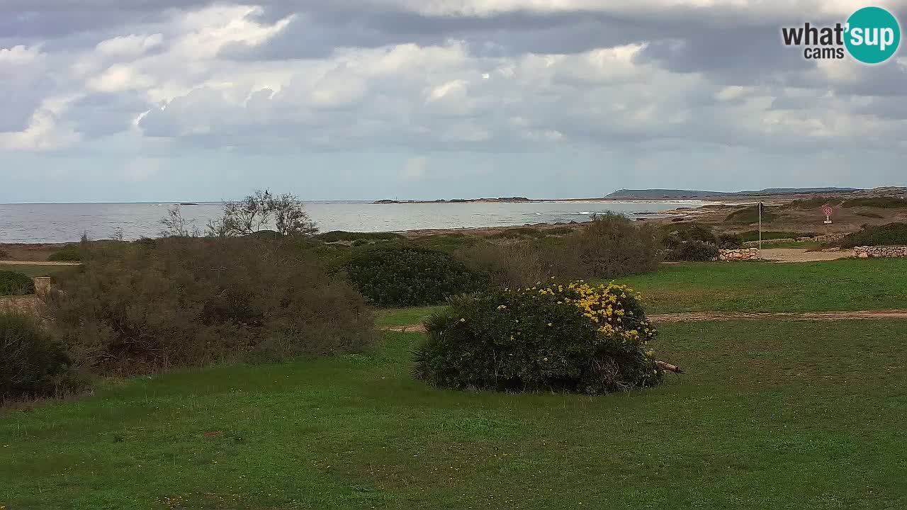 Mari Ermi beach | Is Arutas – Oristano