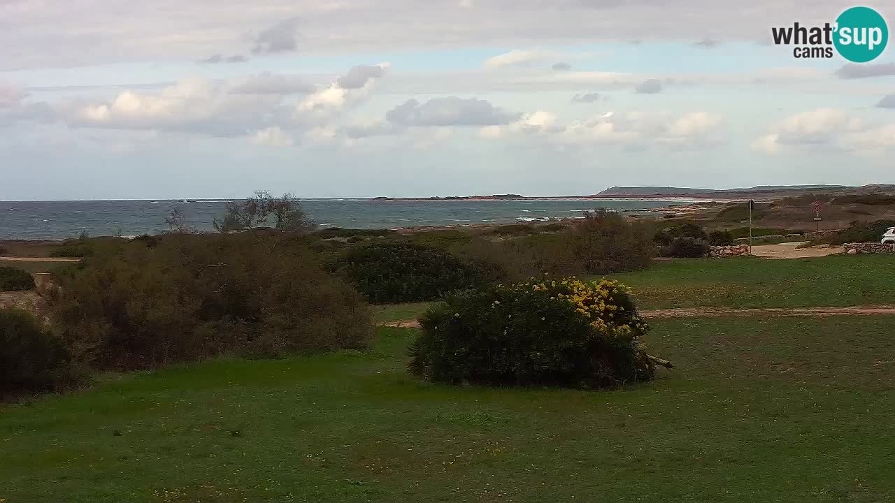 Mari Ermi beach | Is Arutas – Oristano