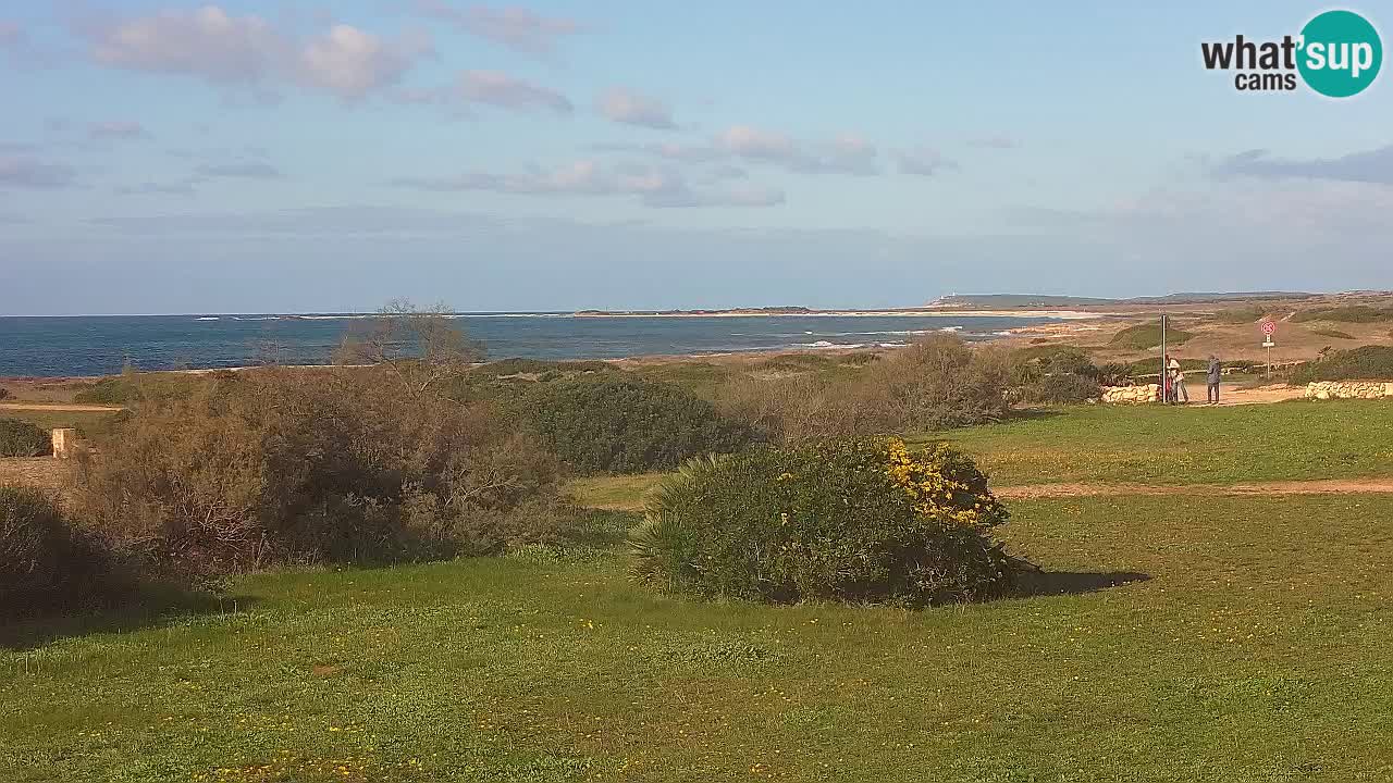Mari Ermi beach | Is Arutas – Oristano