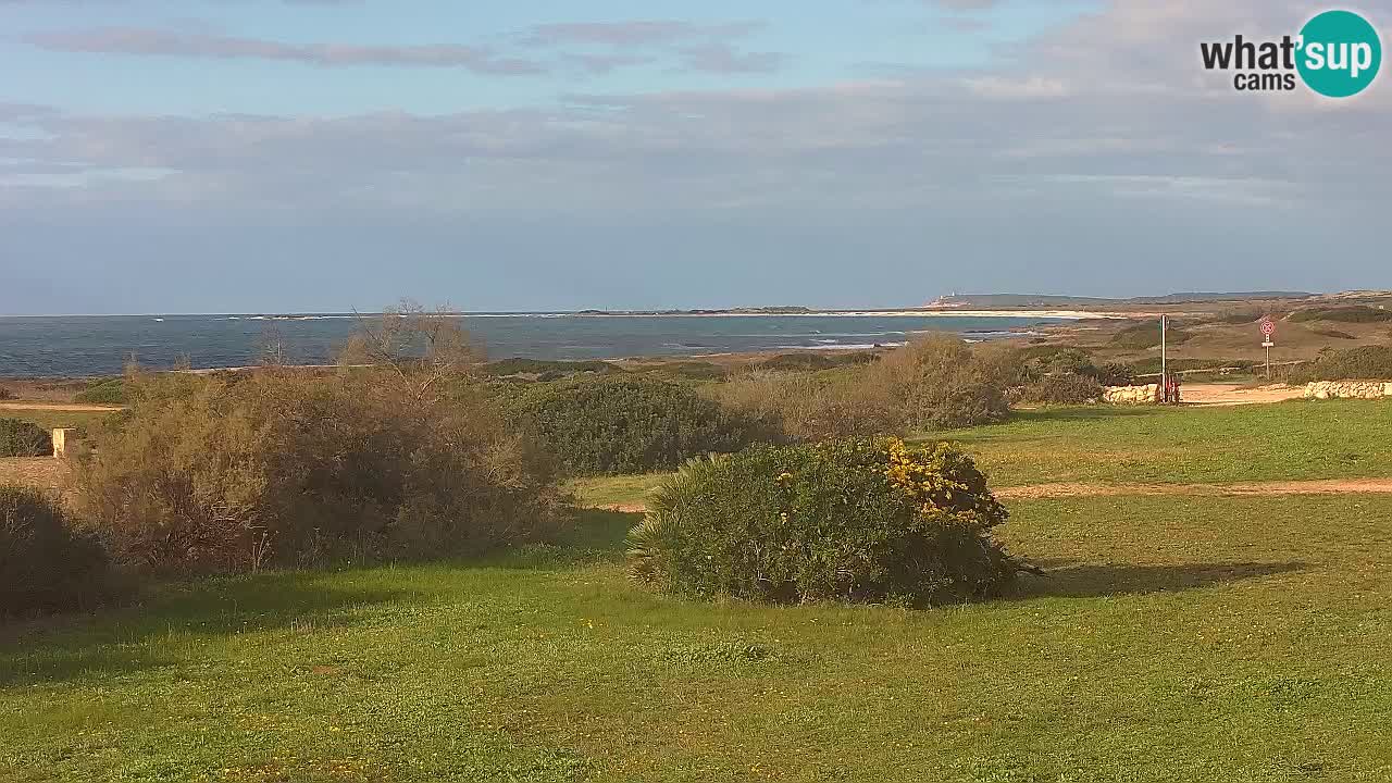 Mari Ermi beach | Is Arutas – Oristano